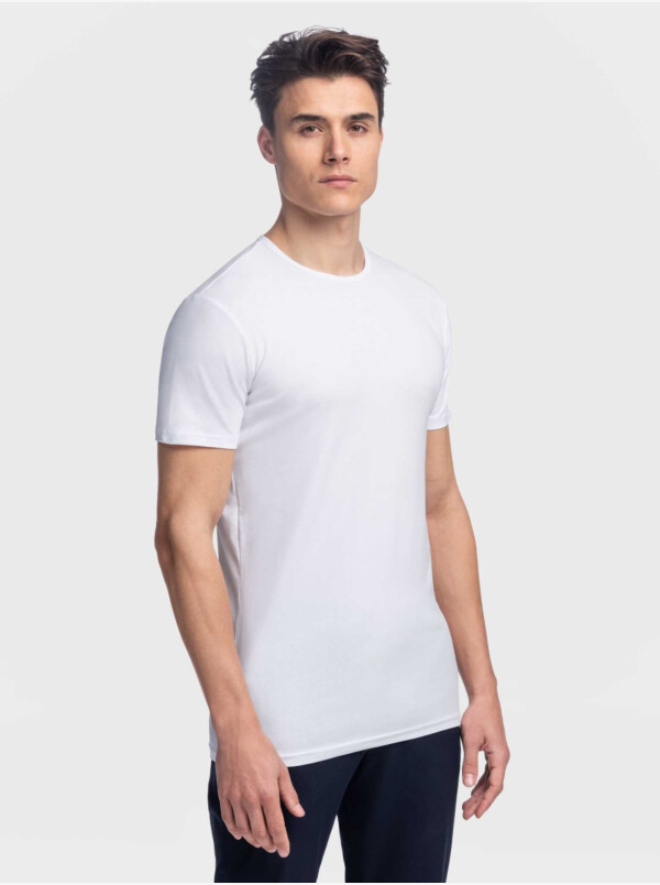 Vrijgevigheid Pa Omgeving Basic T-shirts voor heren: precies op maat | Girav