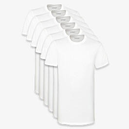 SixPack Sydney T-shirts, Wit